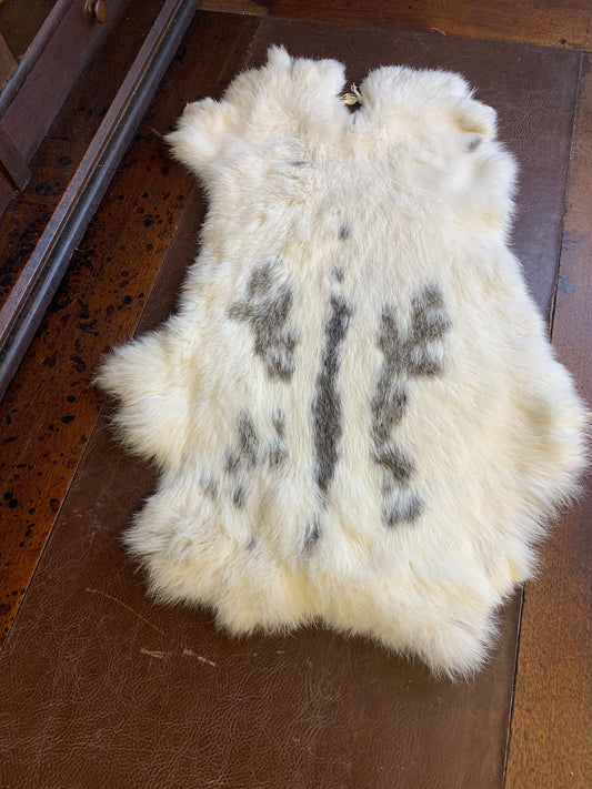 White w/black rabbit fur