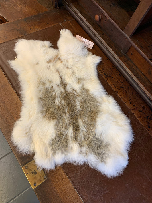 White w/brown rabbit fur
