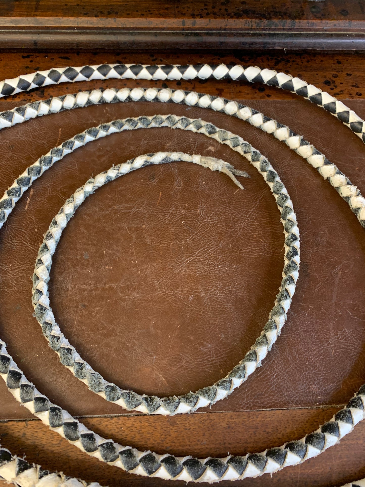 Leather horse whip 12 ft.