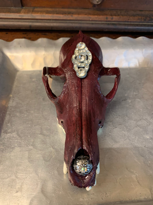 Coyote skull painted 8x5