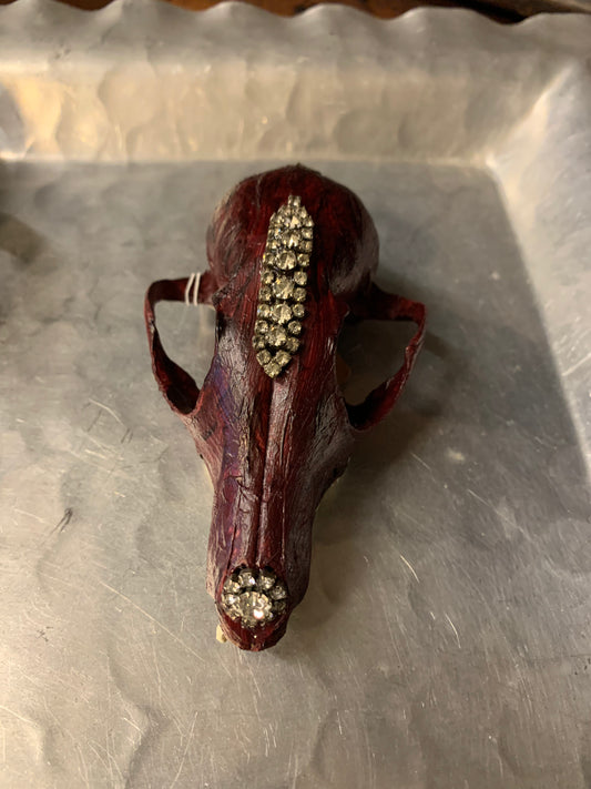 Small coyote skull hand painted art with rhinestone’s size 4.5”x 3”