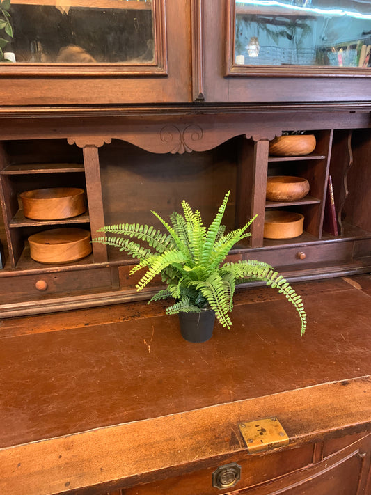 Forever Fern 13x18